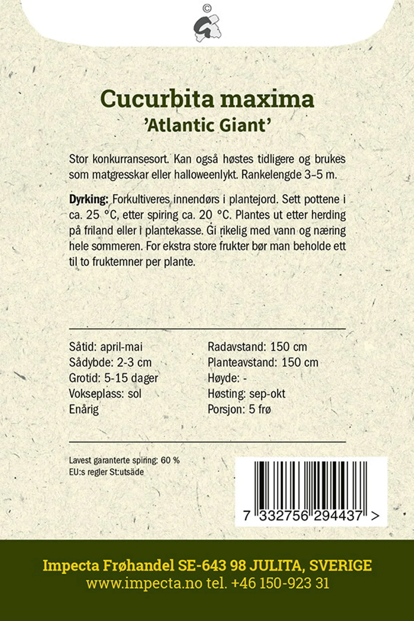 Cucurbita maxima 'Atlantic Giant' Kjempegresskar 'Atlantic Giant'