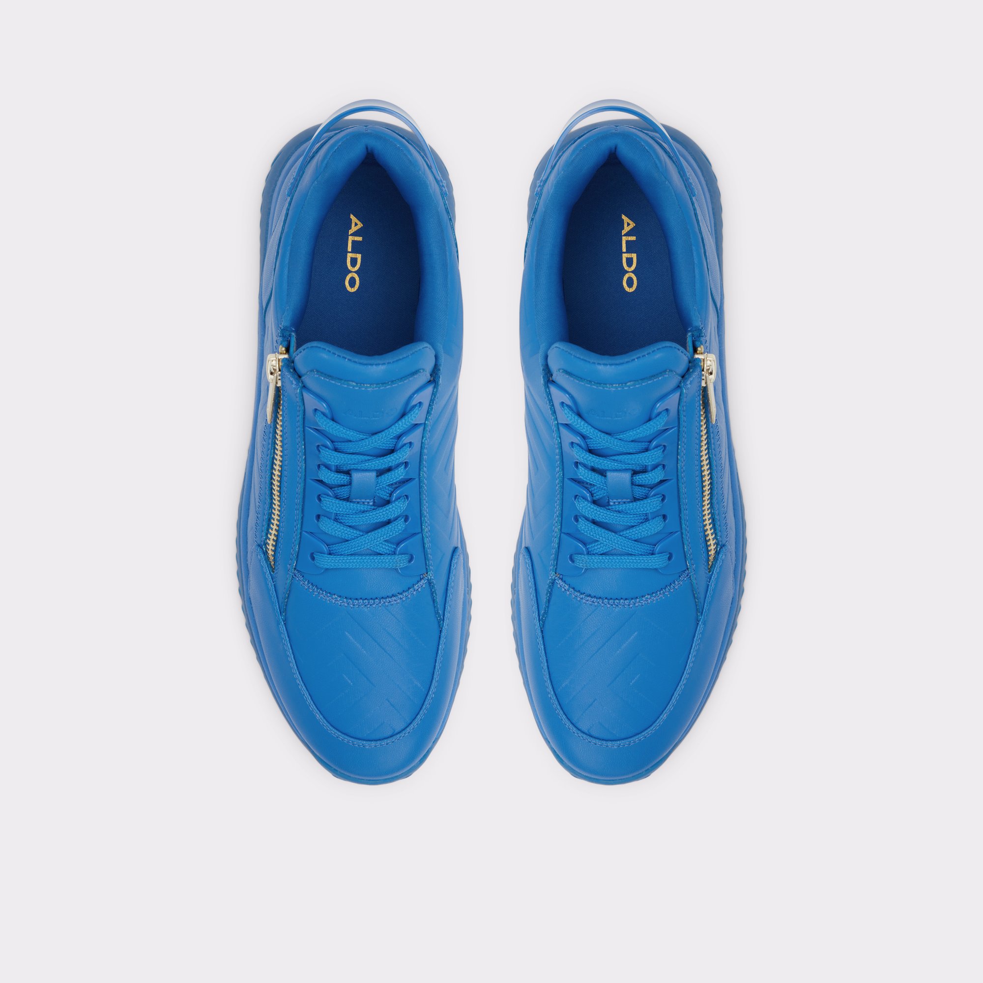 Thompson Blue Men Low top