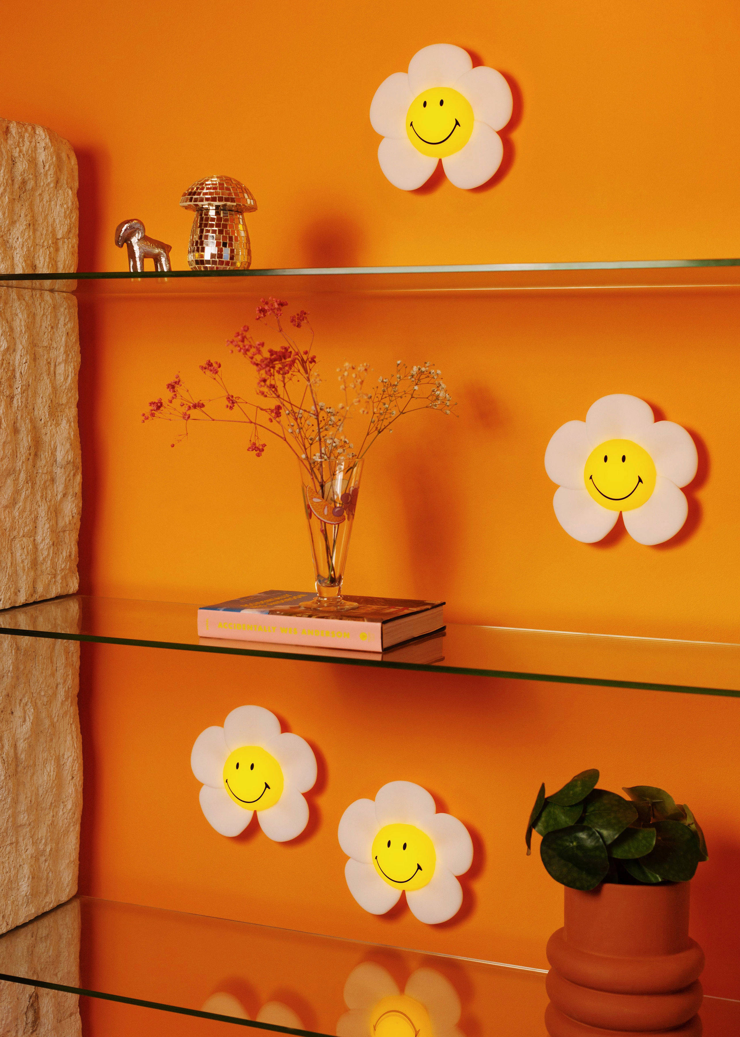 Mr Maria Smiley Daisy Day Light