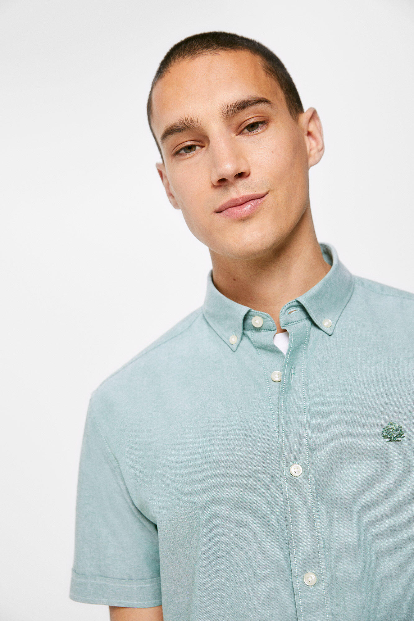 Camisa Pinpoint - verde