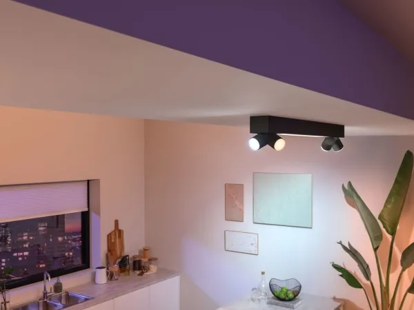 Philips Hue White and Color Ambiance Centris - Loftsspotlys - LED-lyspære/LED - total: 56.8 W - 16 millioner farver - 2000-6500 K - sort