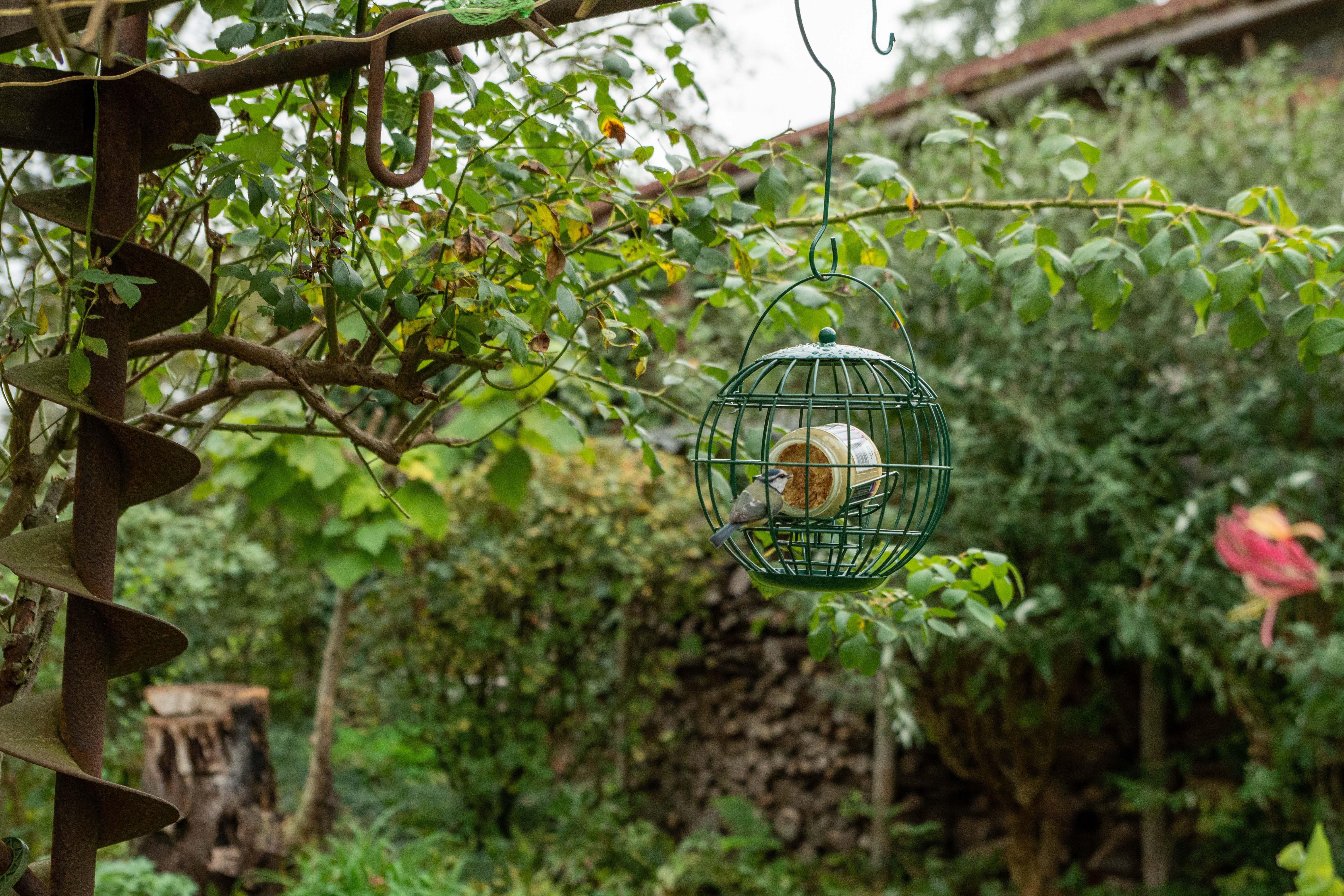 Vogelbescherming - Vogelpindakaas - Original - Tuinvogelvoer - 300 Milliliter - Original