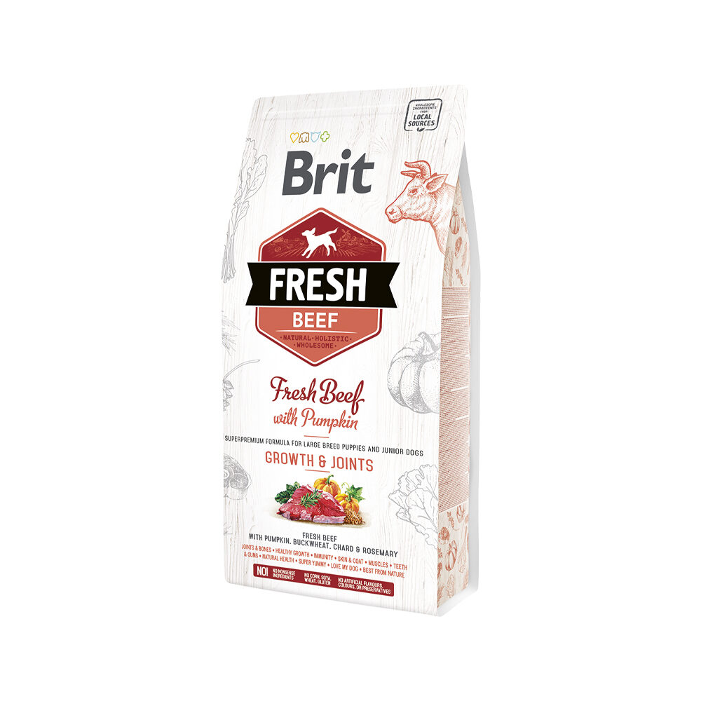 Brit Fresh Beef with Pumpkin - Puppy Large