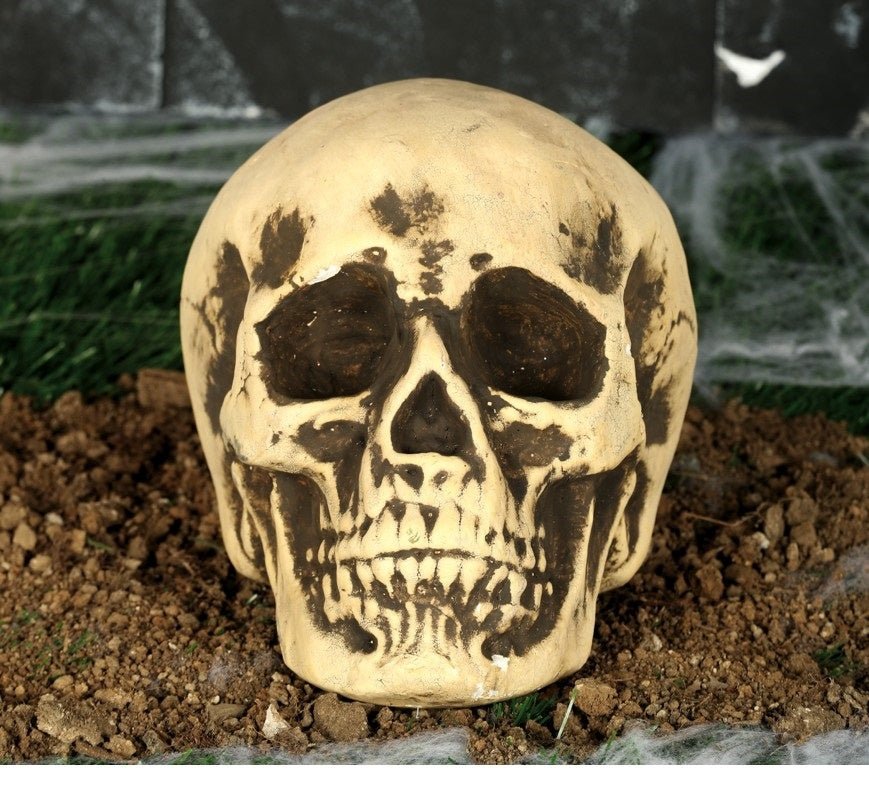 Halloween Schedel 22cm