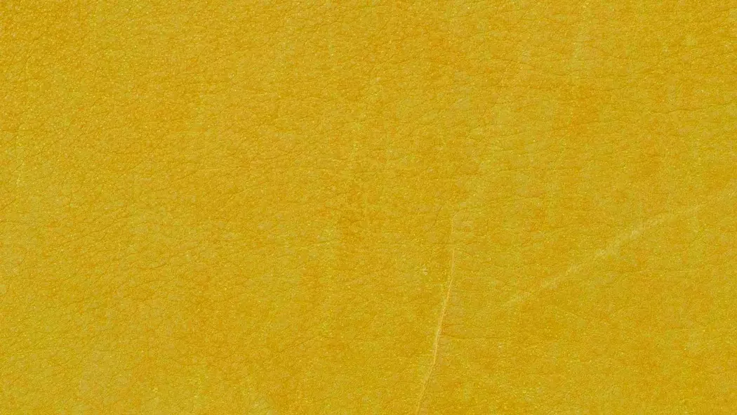 Sessel Yoko No.4