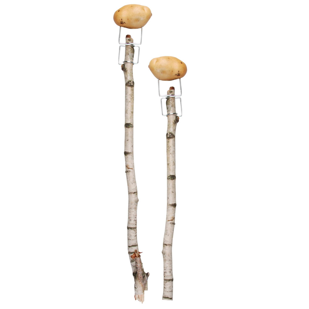 Accessoires pour barbecue nomade (lot de 4)