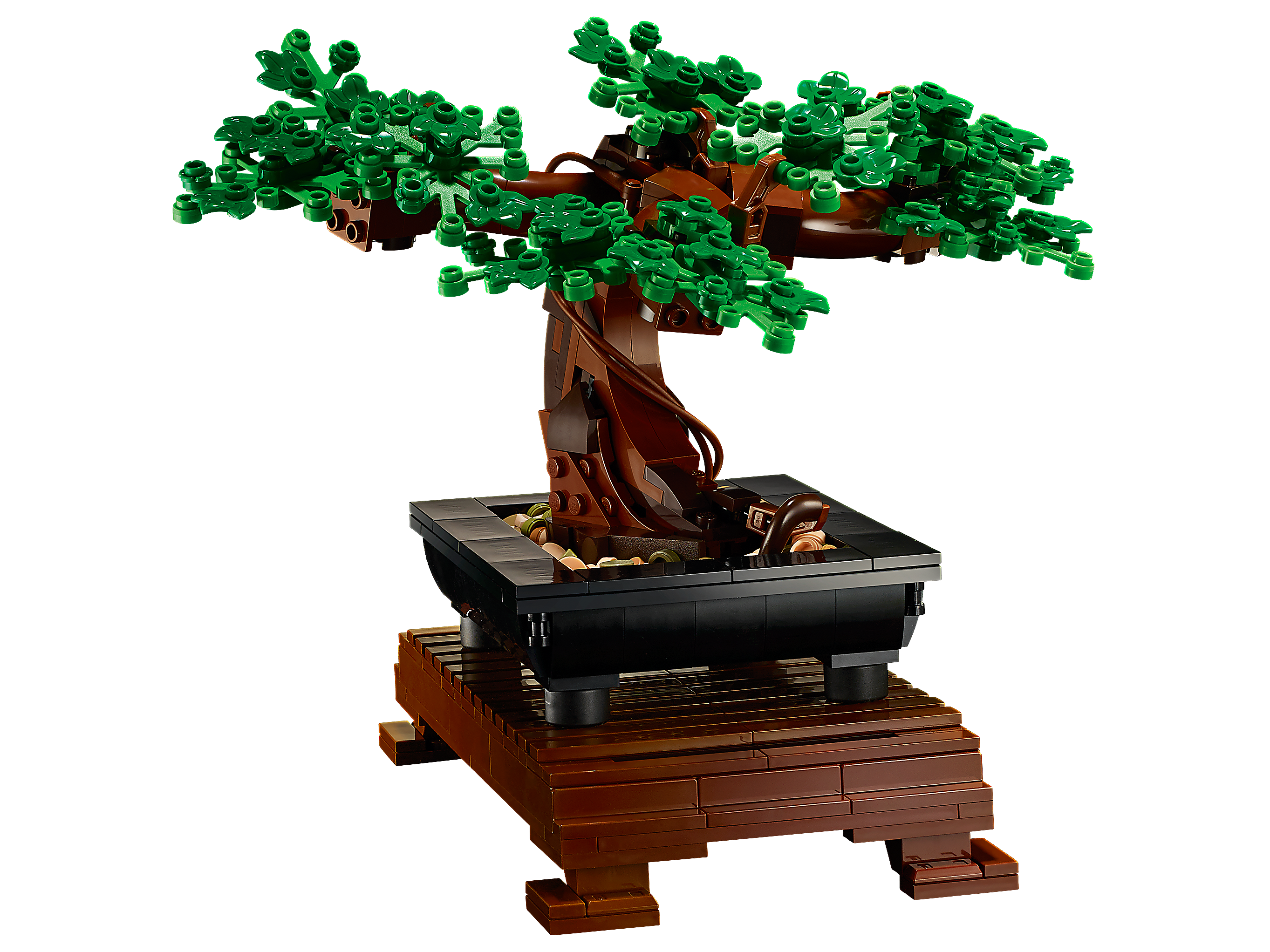Bonsai 10281