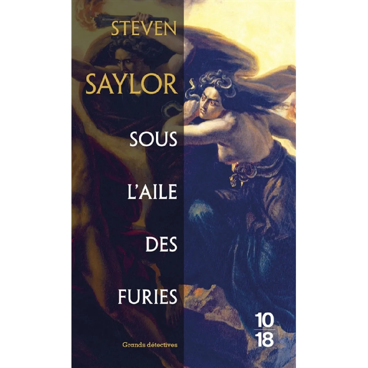 Sous l'aile des furies · Occasion