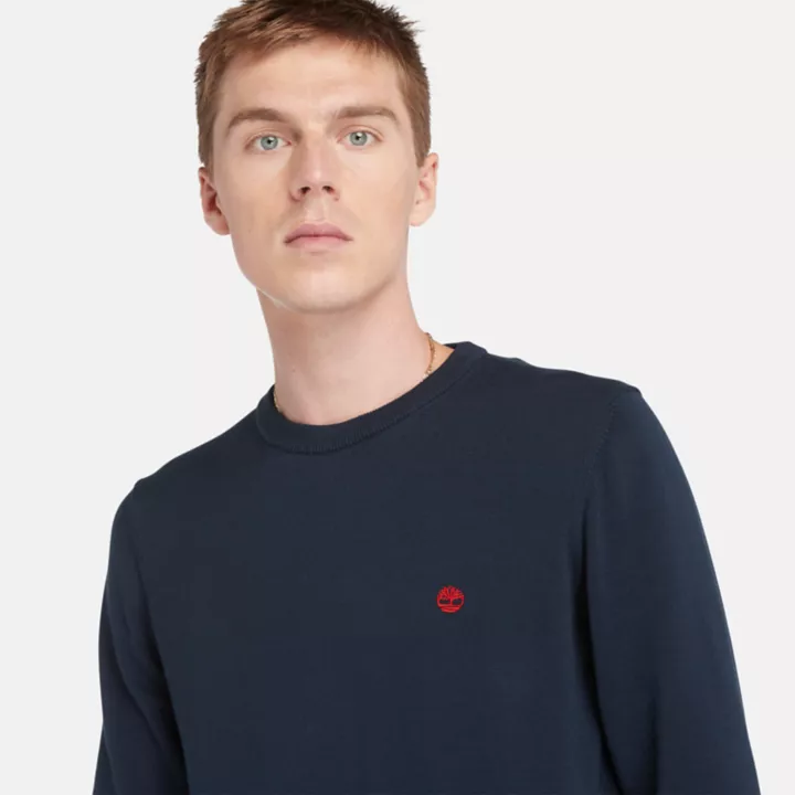 Pull à col rond Williams River pour homme en bleu marine