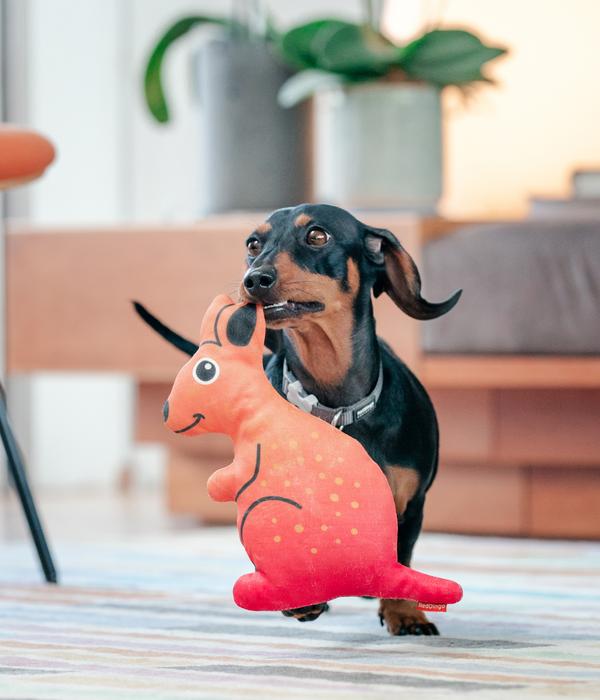 Red Dingo Hundespielzeug DURABLES Toys