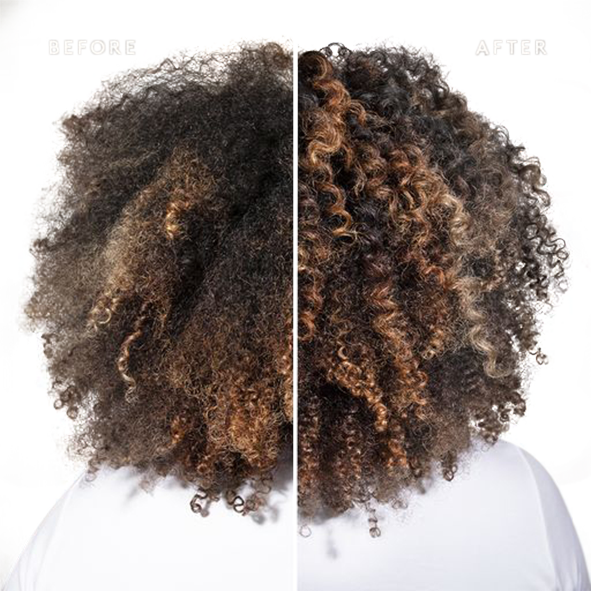 Curl Shampoo 240ml