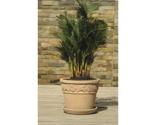 Lafiora terracotta schotel Ø 30 cm chocolade