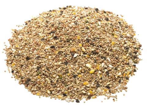 Welkoop Tortelduivenvoer - 20 Kilogram