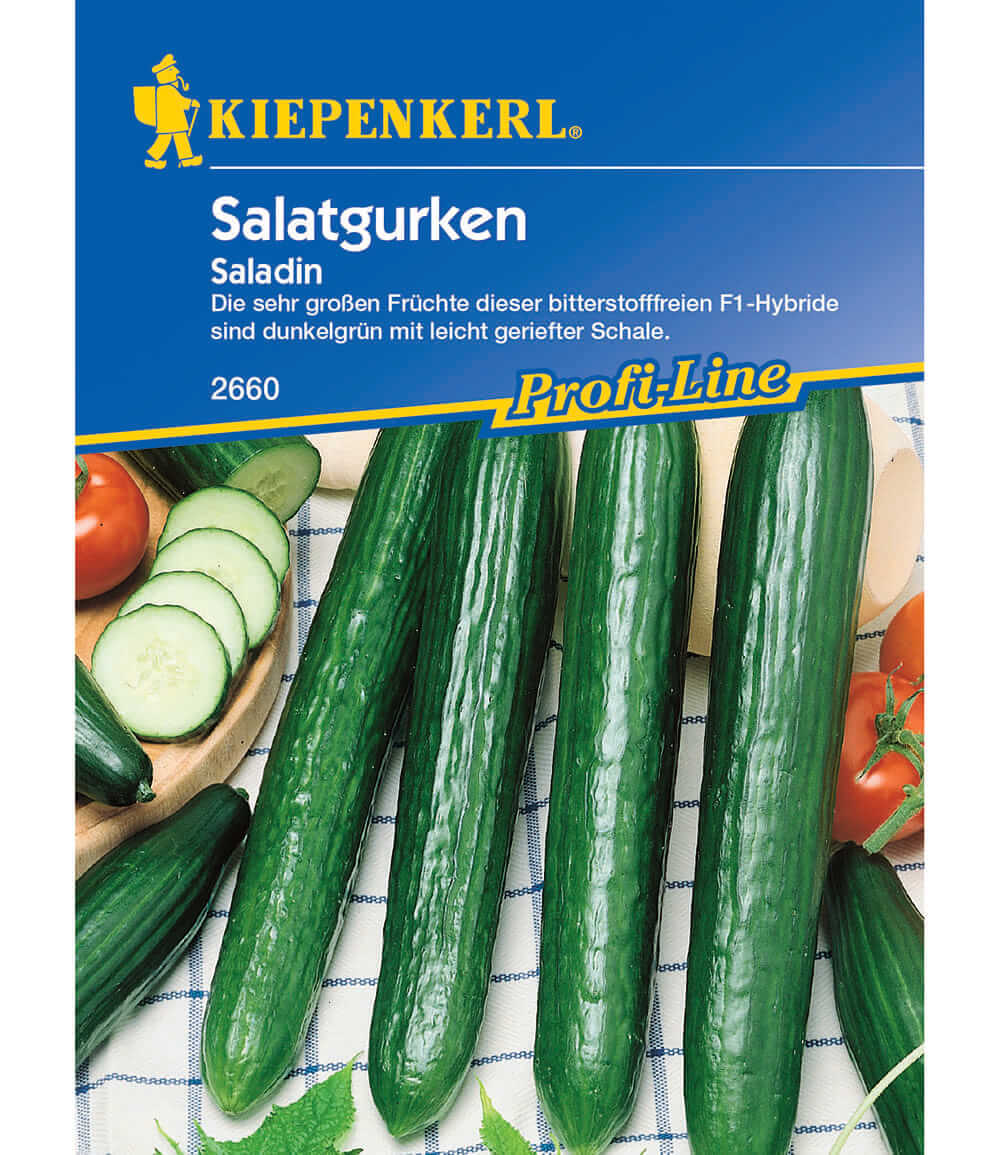 Salatgurken 'Saladin'