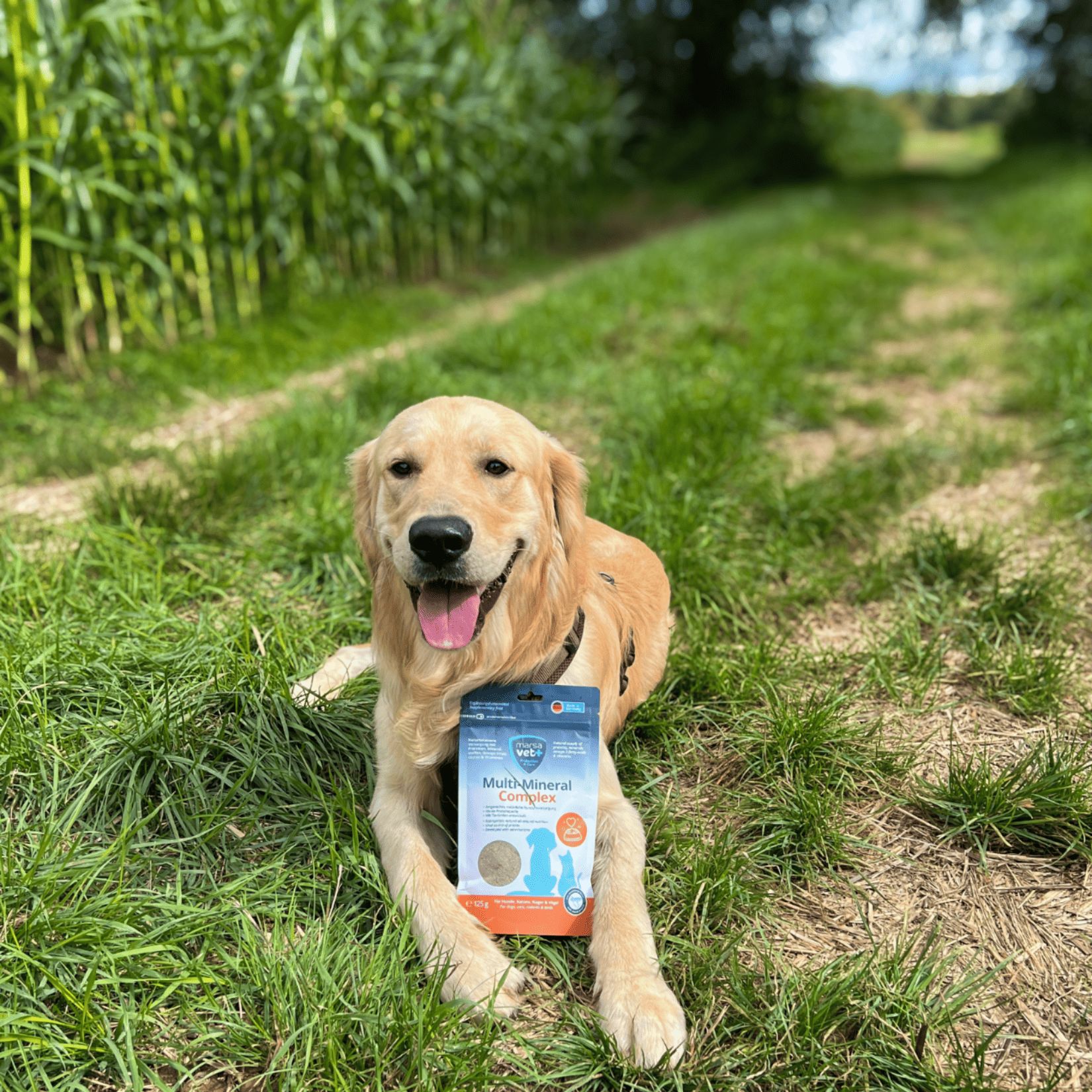 Marsavet Multi-Mineral Complex Pulver für Hunde