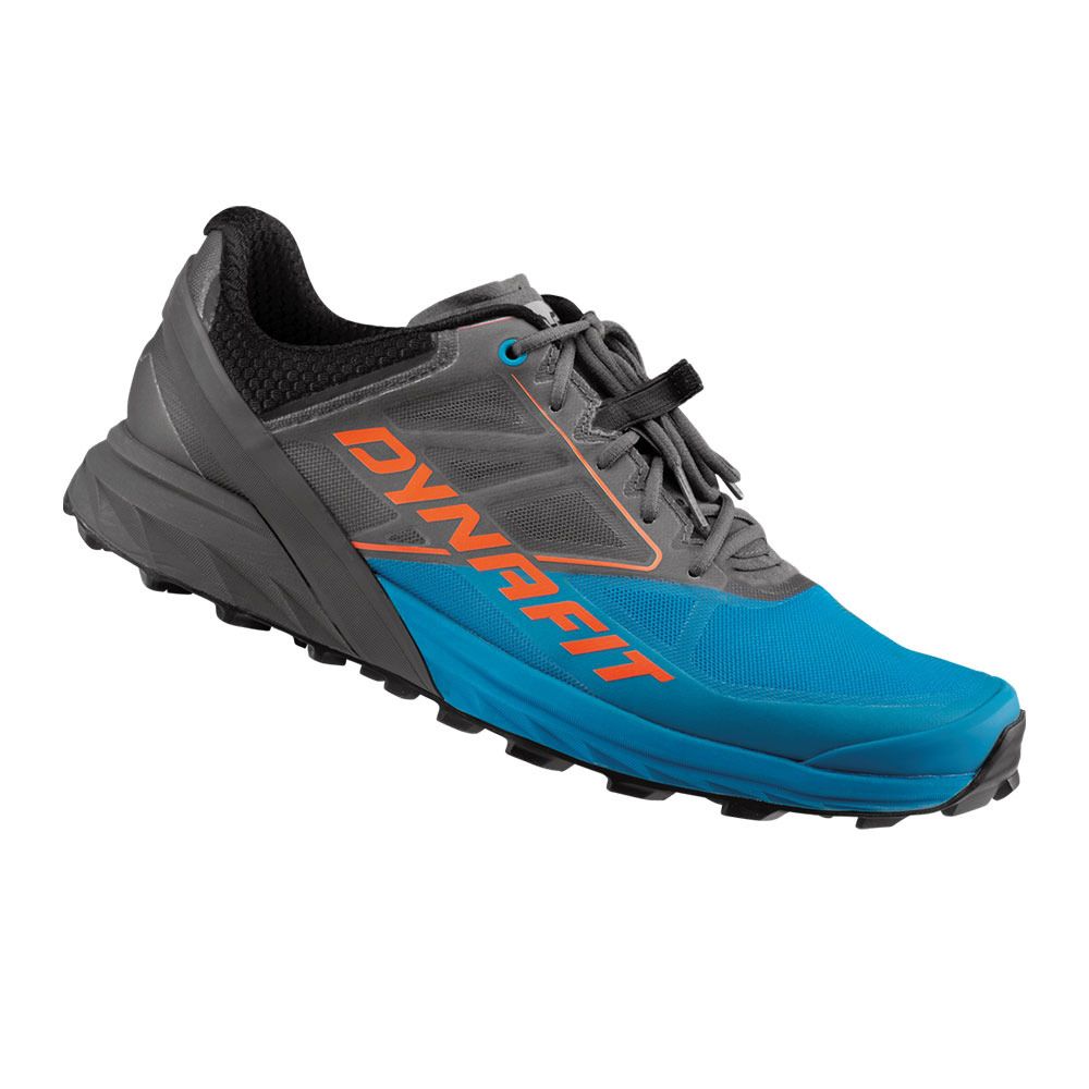 Dynafit ALPINE - Chaussures trail Homme magnet/frost