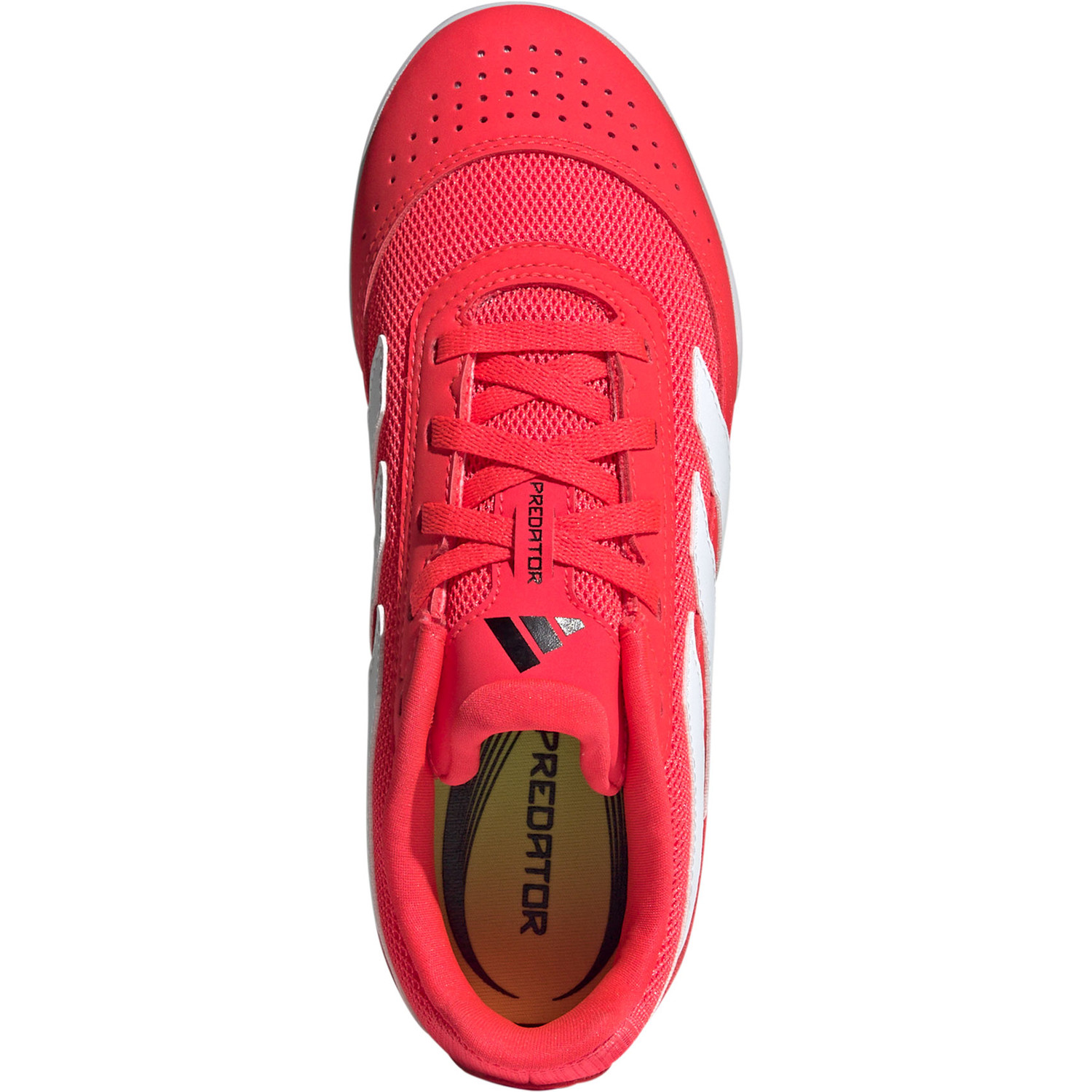 adidas Predator Club Indoor Kids