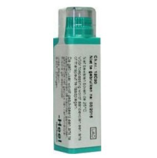 Homeoden Heel Arnica montana 30CH 4g