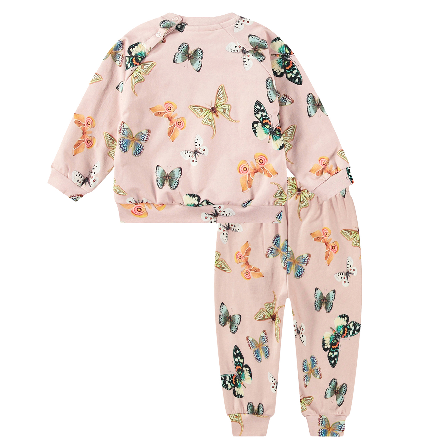 Disc Set - Blush Papillions