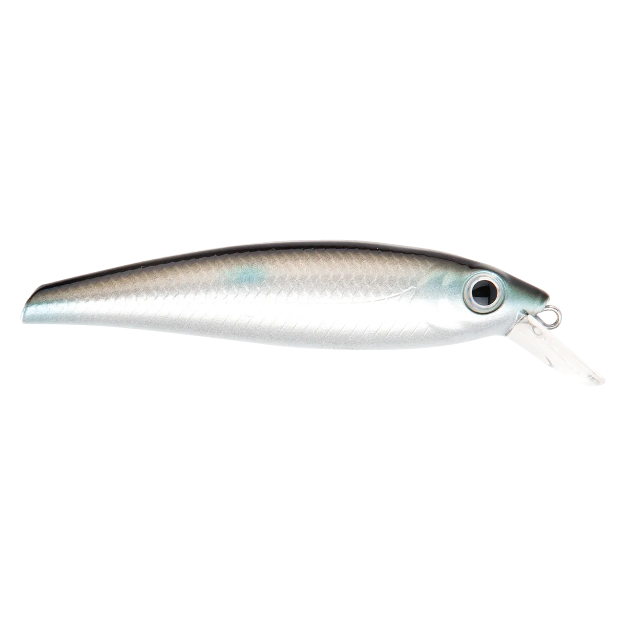 Prey Prey Deep Target Blue Herring