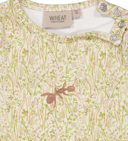 Wheat x Rodinia Body l/ä - Limitiert - Aquarell Grasland