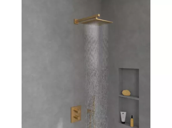Douche de tête VILLEROY ET BOCH Universal rectangle Or brossé