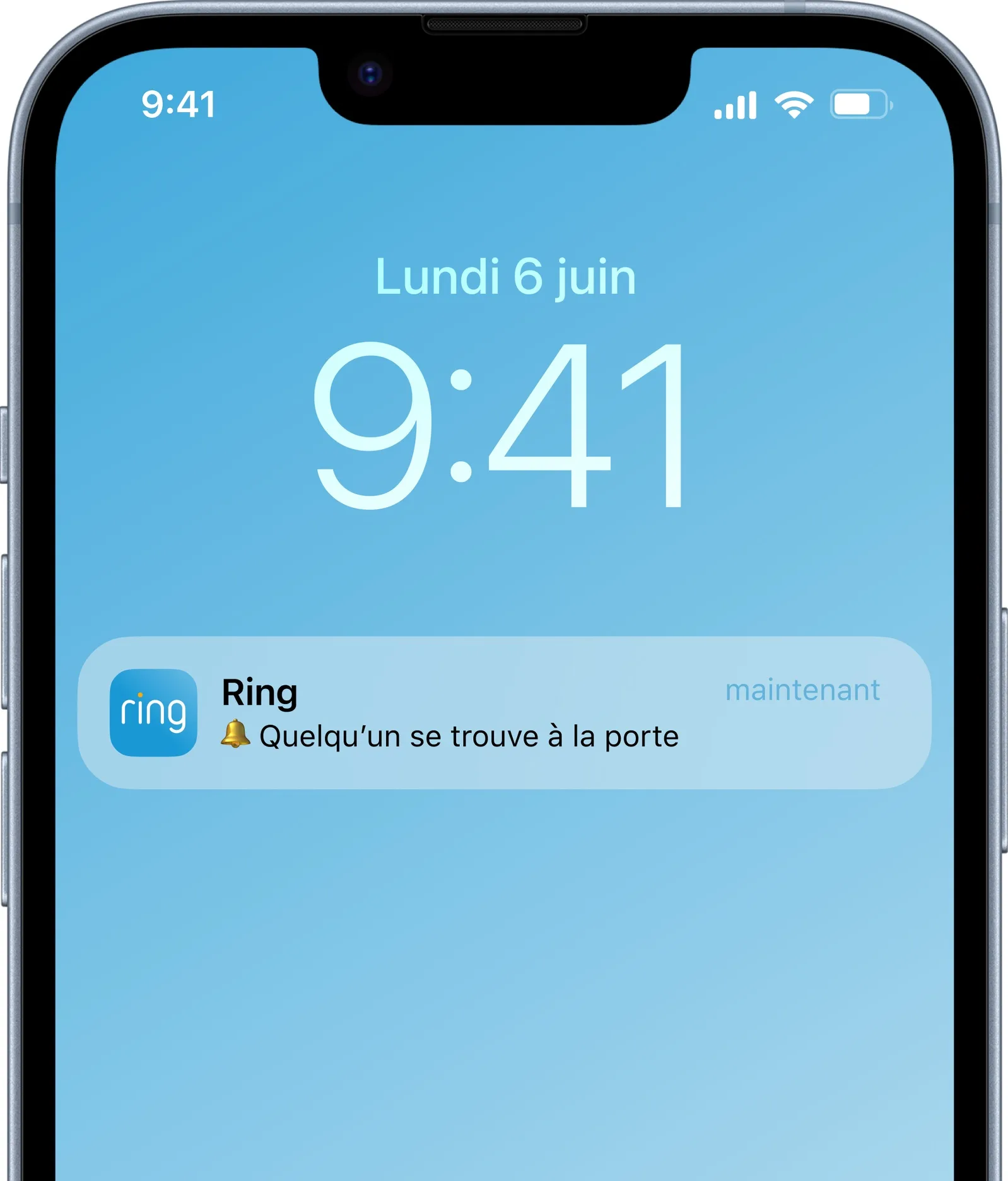Ring Battery Video Doorbell Pro Nickel Satiné Sonnette connectée