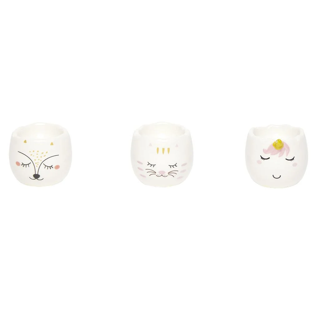 Coffret coquetier x3 motif tête animal