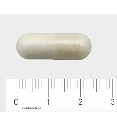 Aov 804 Boswellia Extract (60 vega capsules)
