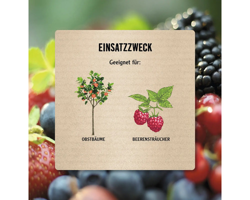 FloraSelf fruit- en bessenmeststof 2,5 kg