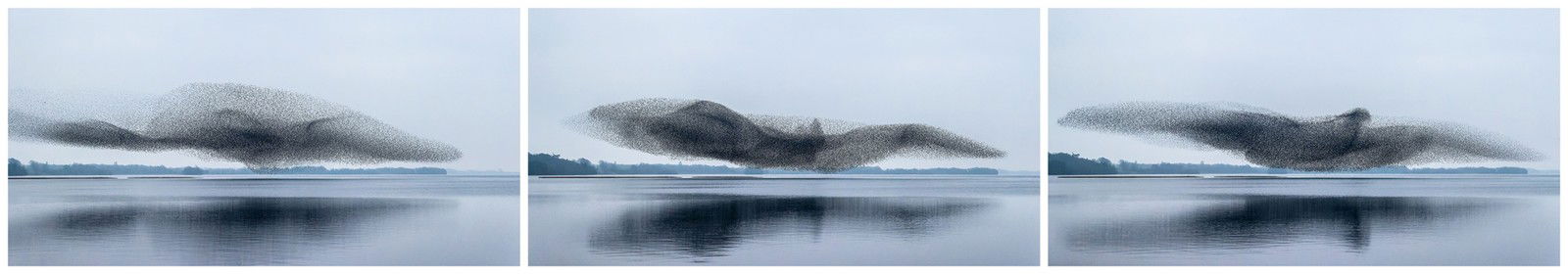 The Bird, Lough Ennell, Ireland by James Crombie - Limited Edition. Edition of: 150. Signed.