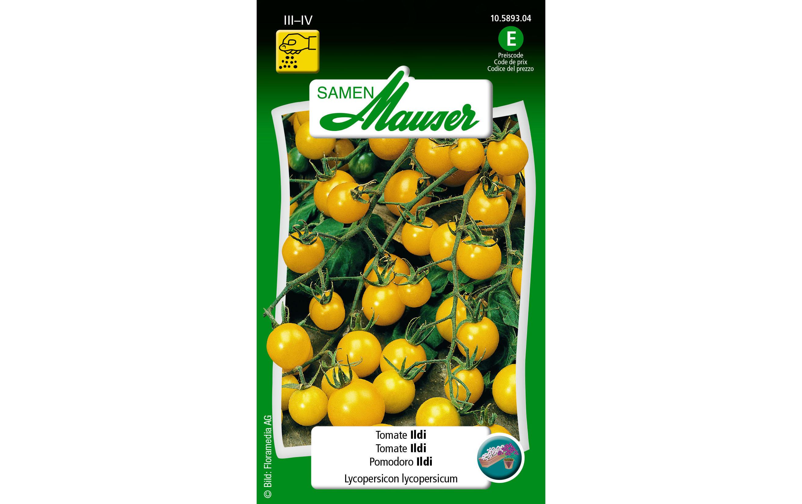 Samen Tomate IldiGemüsesamen