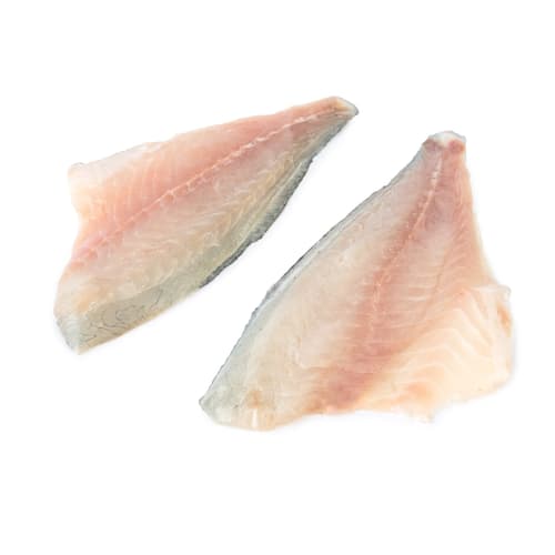FJORU ASC Wolfsbarsch Filet mit Haut