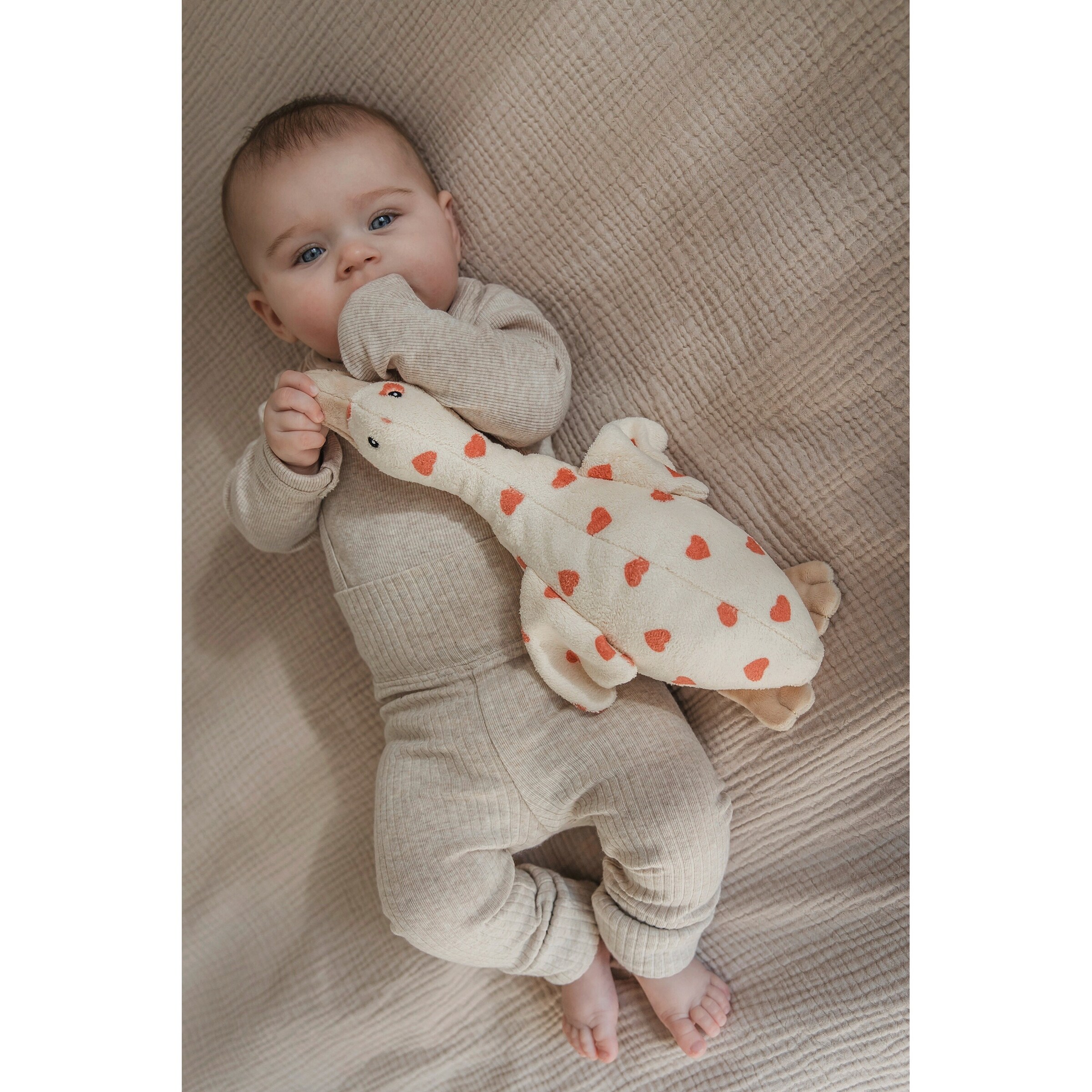 flow Amsterdam Herzschlag-Kuscheltier Ente Liva Limited Edition