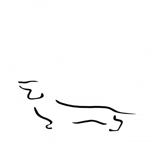 Ilustração de um Dachshund em tamanho A4 sem moldura, branca.