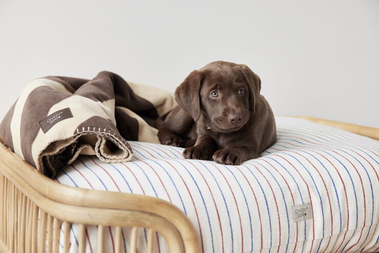OYOY Living Design Otte Hundeseng - Medium Natur