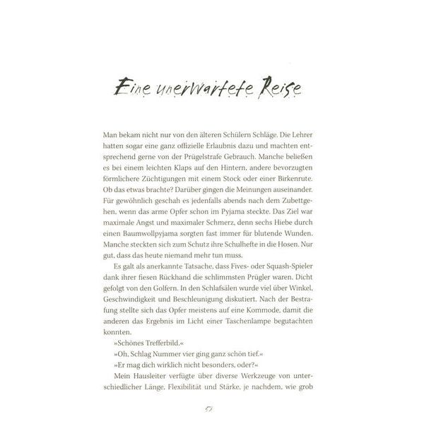 Heyne Verlag Bruce Dickinson What Does