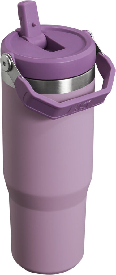 Stanley IceFlow Flip Straw Tumbler 0. 89L