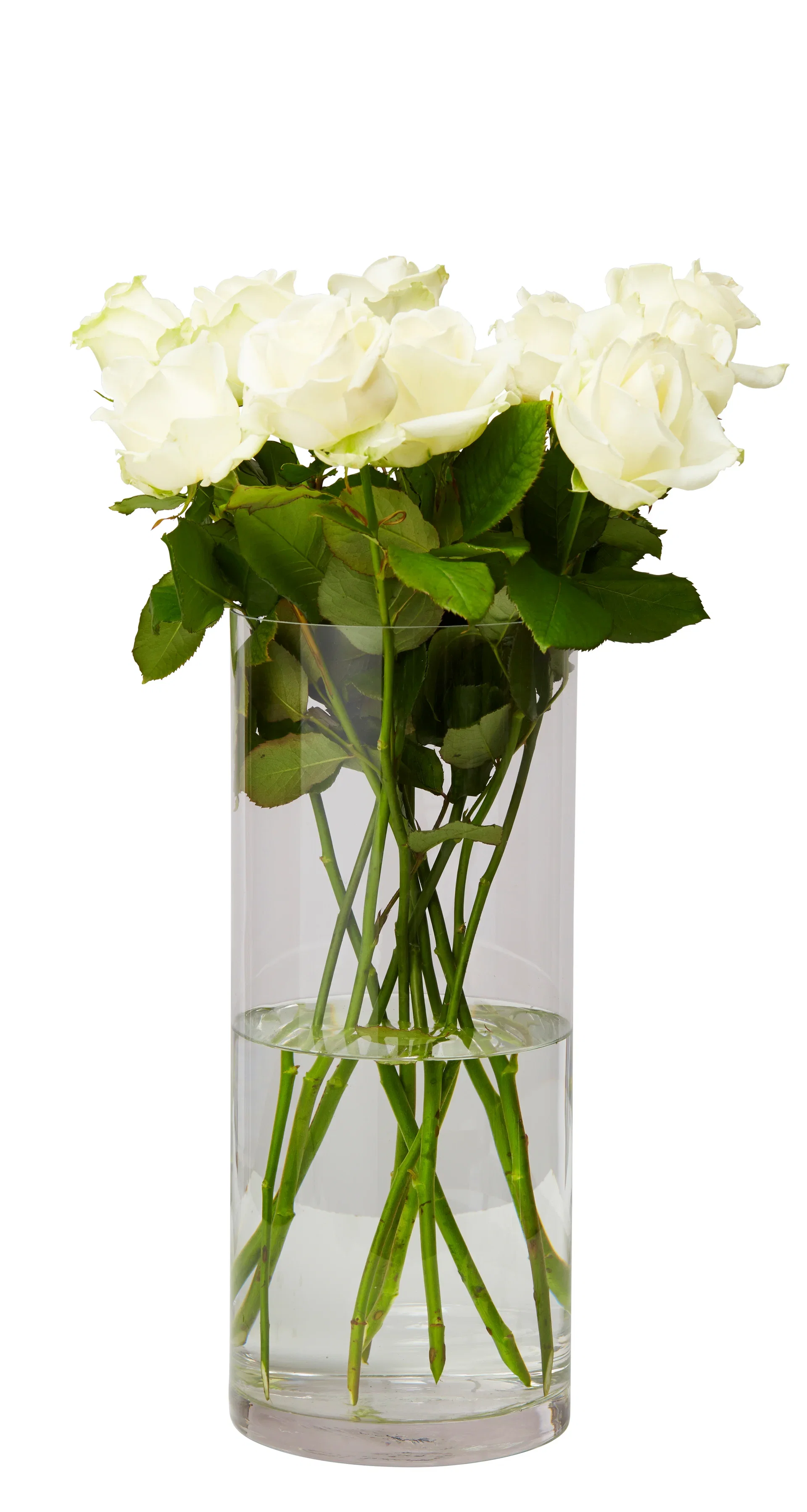 Vase Jennifer Høyde 20 cm