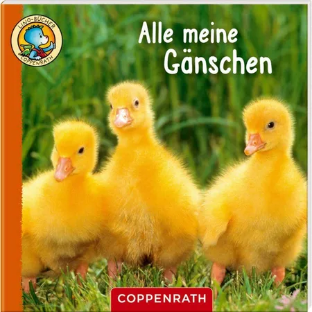 Coppenrath Verlag Lino-Bücher Box Nr. 67 