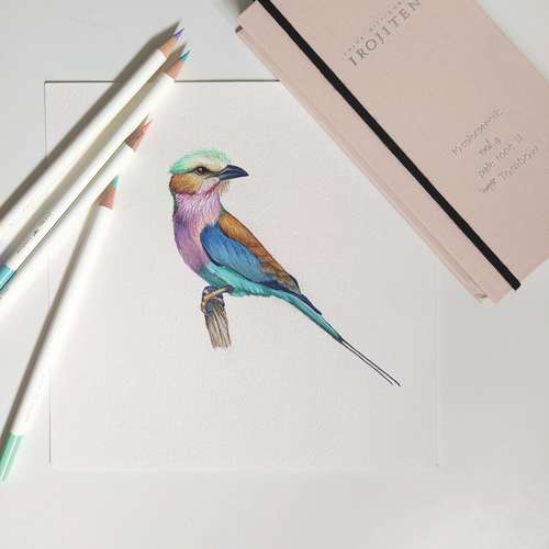 TOMBOW® IROJITEN Farbstifte 30er-Sets in Buchbandoptik