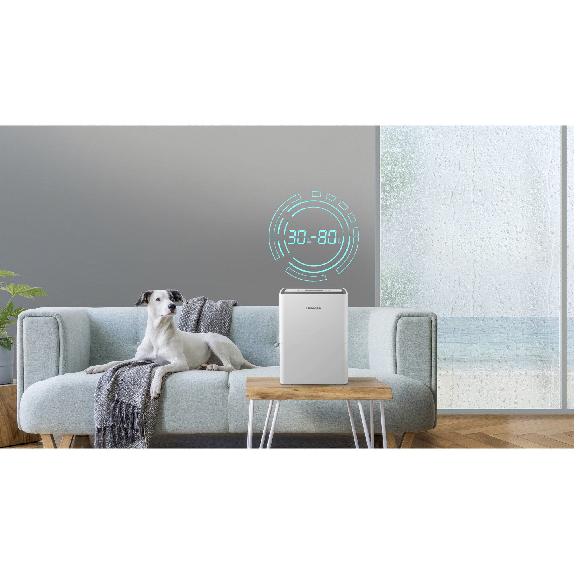 Hisense Luftentfeuchter D16CW