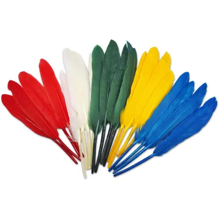 Meyco 12 Indianerfedern, 27 - 30 cm, bunt sortiert