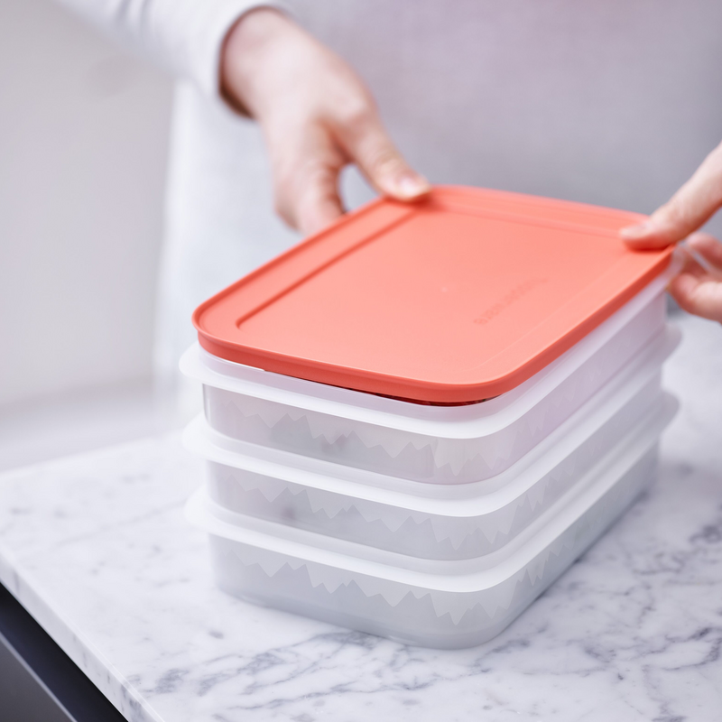 Eiskristall Stapelprofi Platzsparender Gefrierbehälter für Steaks, Schnitzel sowie Blätterteigstückchen, Stangenbohnen und vieles mehr