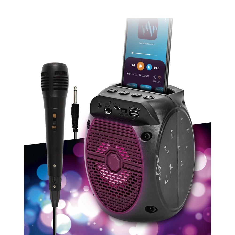 ENCEINTE SANS FIL 5W KARAOKE MICRO INTEGRE