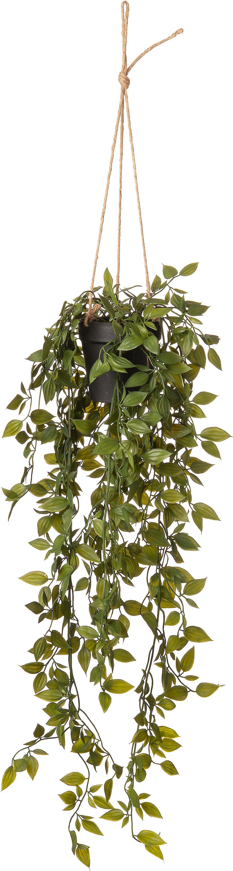 Intratuin kunsthangplant appelblad D 9,5 H 20 cm