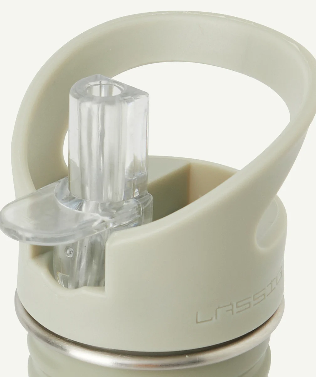 LASSIGGOURDE EN INOX VERTE À MOTIF RAYURES 500ML