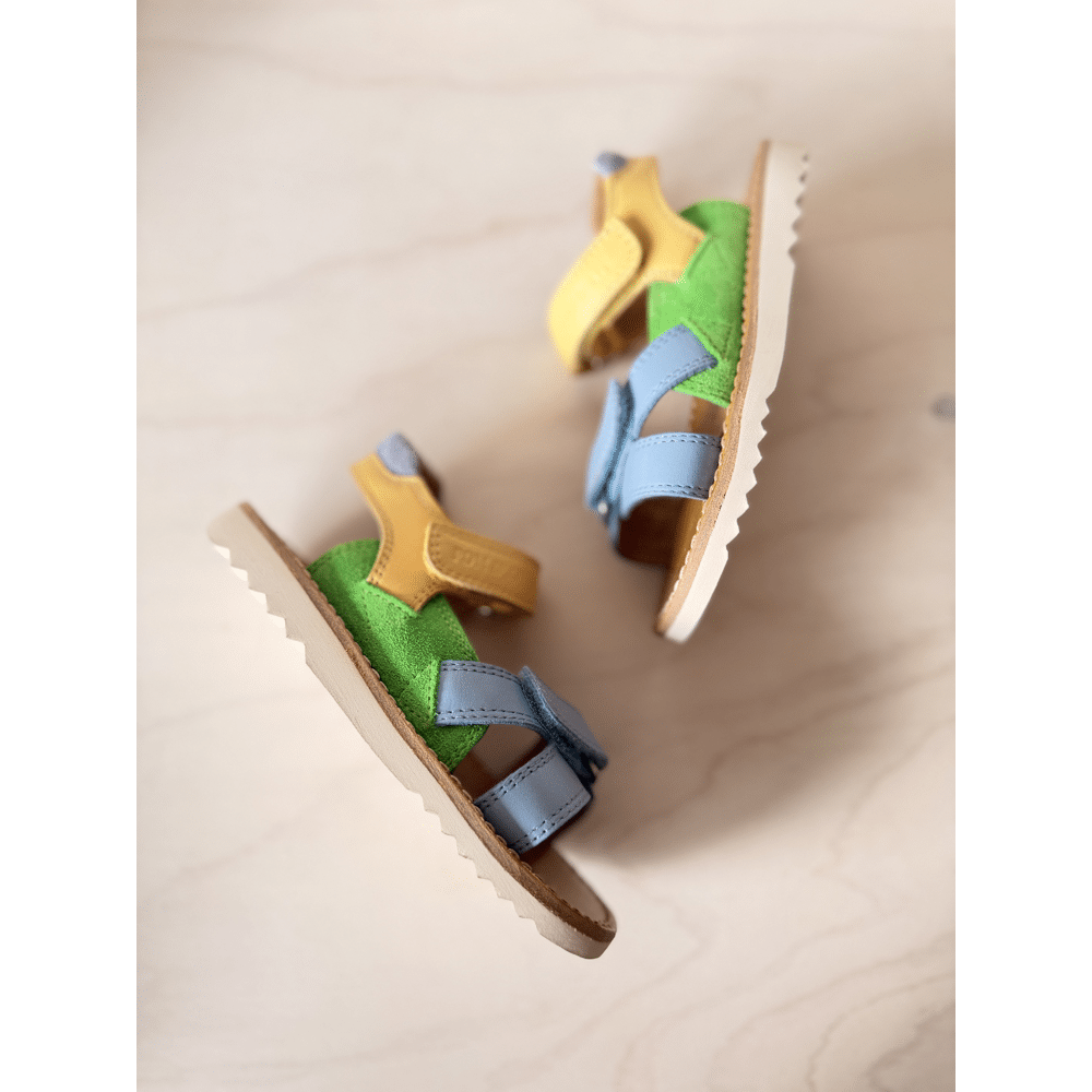 POM D'API - Waff Jimy - Azure Verde Jaune