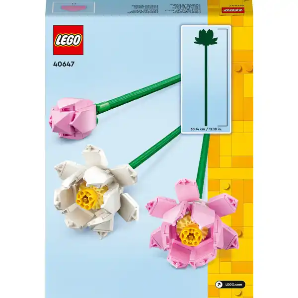 40647 Lotusblumen