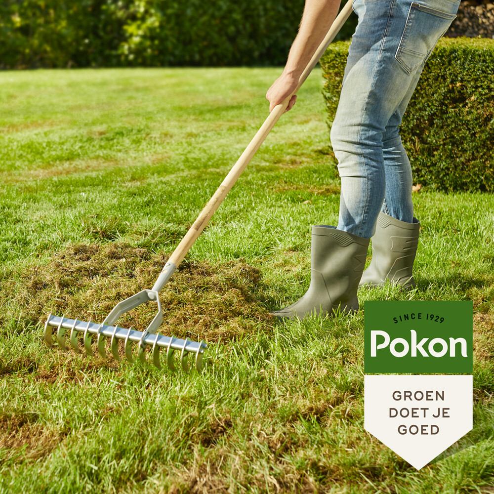 Pokon Graszaad Herstel2 kg